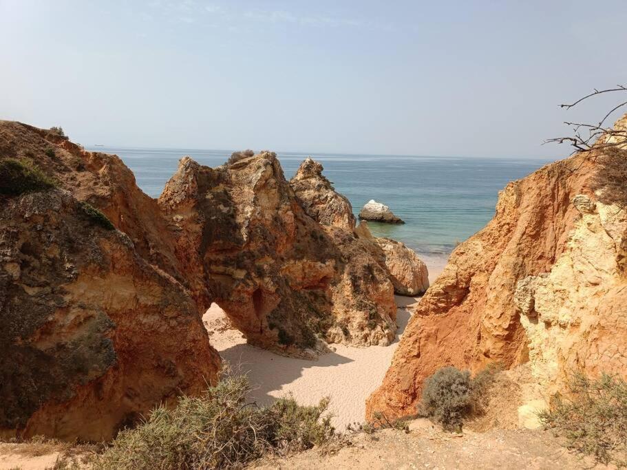 Rocha Beach House 波尔蒂芒 外观 照片